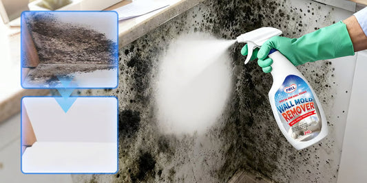 Schnellwirkendes Anti-Schimmel Reinigungsspray für Wände