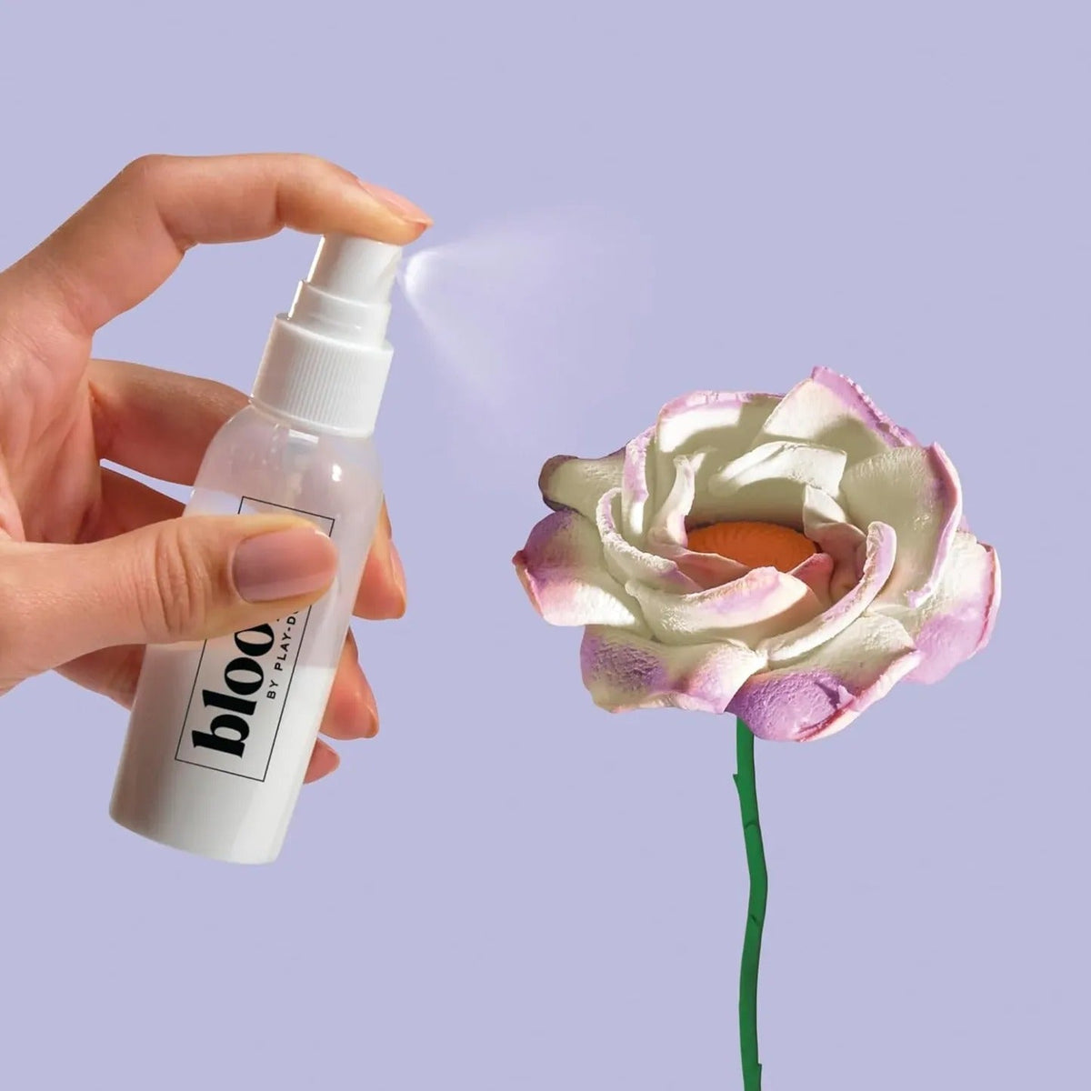 Blumenstrauß gestalten mit Blooms Meadow-Blumen