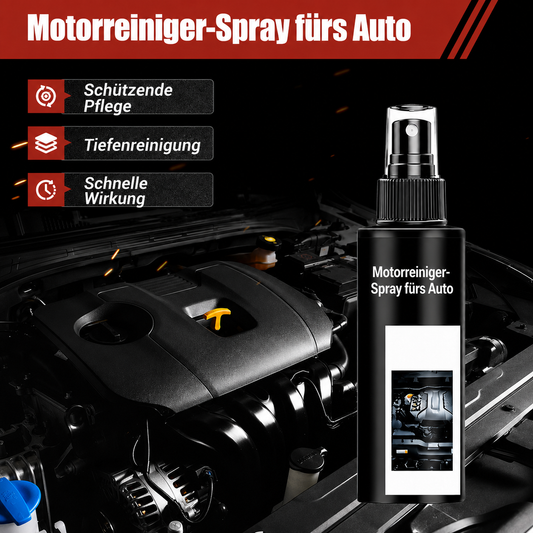 Motor-Reinigungsspray