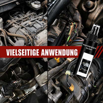 Motor-Reinigungsspray