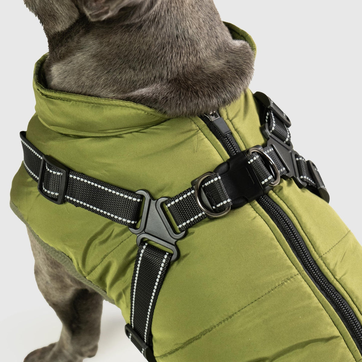 Petstar™ – Wasserdichte Winterjacke mit integriertem Geschirr